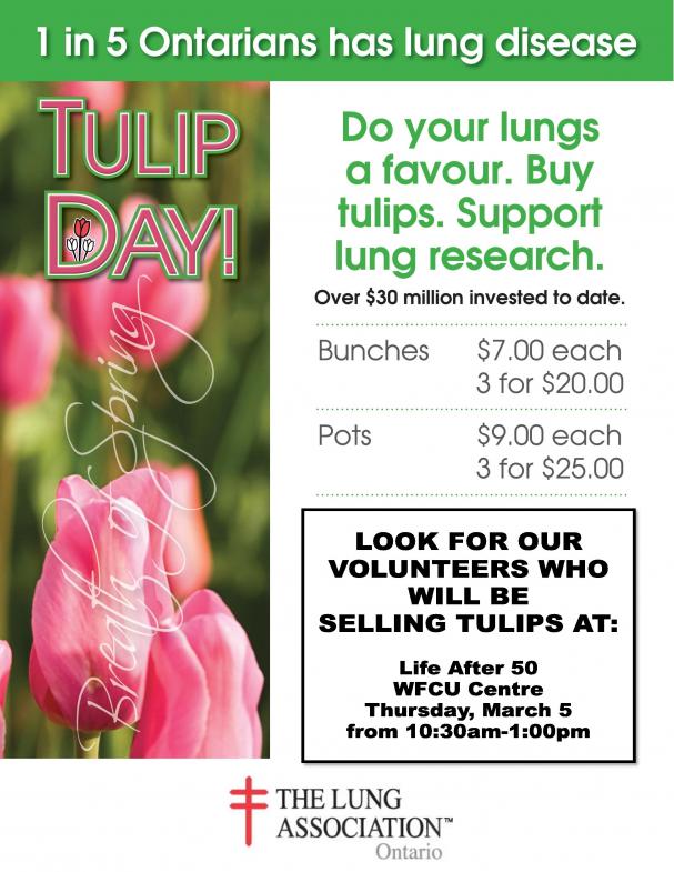 Tulip Sale - East Side Centre
